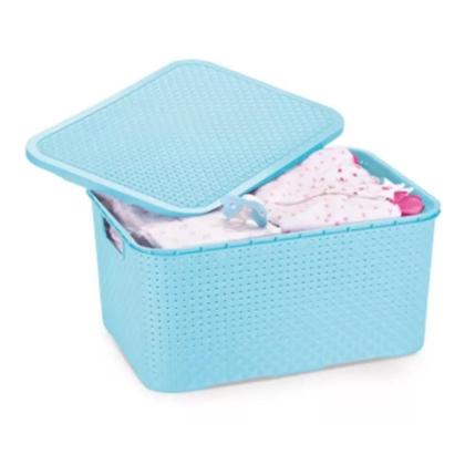 Imagem de Caixa Organizadora Rattan 18L 38x28x18 - Monte Libano