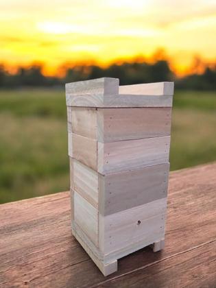 Imagem de Caixa Para Abelhas Sem Ferrão Com 2 Melgueiras, madeira eucalipto interna10x10 espessura 2cm- INPA