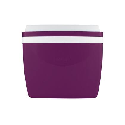 Imagem de Caixa Térmica Açaí 34 Litros