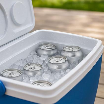 Imagem de Caixa Térmica Cooler 18 Litros 24 Latas Com Alça