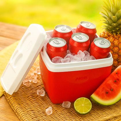 Imagem de Caixa Térmica Cooler 18 Litros 24 Latas Com Alça