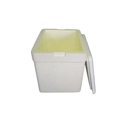 Imagem de caixa térmica para cerveja refrigerante, em isopor 44 litros