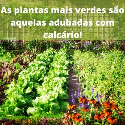 Imagem de Calcário Dolomítico - Pacote com 1 KG