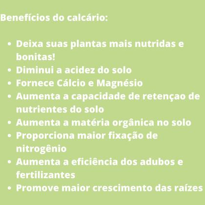 Imagem de Calcário Dolomítico - Pacote com 1 KG