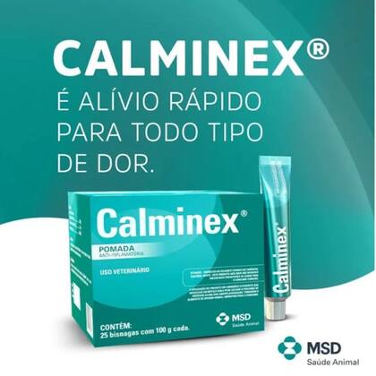 Calminex Pomada Anti-inflamatória 100g Alivia Dores - MSD - Anti ...