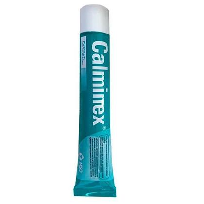 Imagem de Calminex Pomada Sedativa MSD 30g