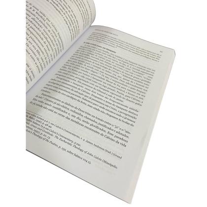 Imagem de Calvino e a Vida Cristã  Para glorificar a Deus e alegrar-se nele para sempre  Michael Horton