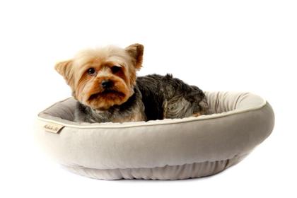 Imagem de Cama Aústria para Cachorro e Gato Pet