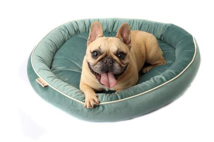 Imagem de Cama Aústria para Cachorro e Gato Pet