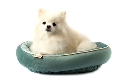 Imagem de Cama Aústria para Cachorro e Gato Pet