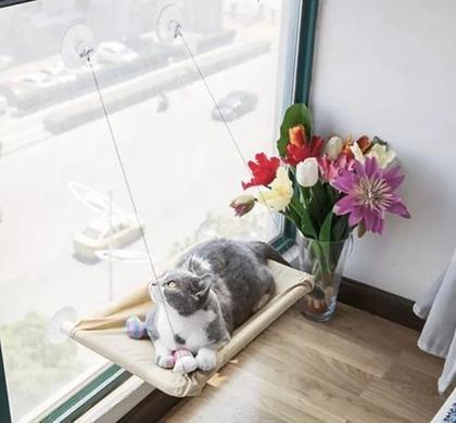 Imagem de Cama Caminha De Janela Para Gatos Com Rede Suspensa