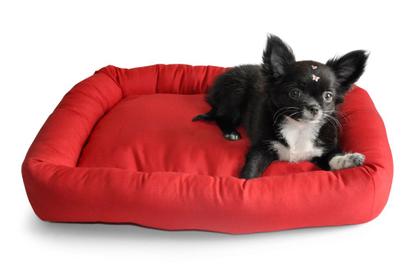 Imagem de Cama Cancun para Cachorro e Gato Pet