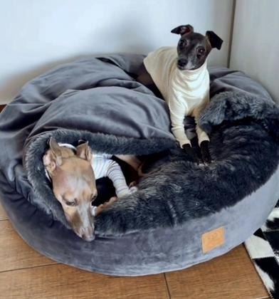 Imagem de Cama Cave Cachorros Whippet com coberta GG 80x80