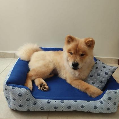 Imagem de cama de cachorro caminha pet grande retangular  amarela + cobertinha pet