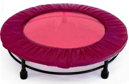 Imagem de Cama Elástica Mini Jump Profissional Rosa + Capa Rosa +Corda