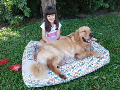 Cama Para Cachorro Grande CACHORROS ACQUABLOCK 100 x 87 cm - RESISTENTE! - PET QUERIDO Imagem de Cama Para Cachorro Grande CACHORROS ACQUABLOCK 100 x 87 cm - RESISTENTE!