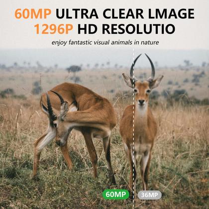 Imagem de Câmera de trilha LANTOOCAM 60MP com WiFi, cartão TF de 32GB, visão noturna