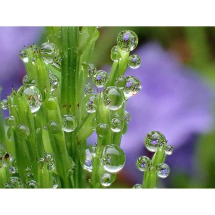 Imagem de Câmera Digital Om System Tg-7 4k 12mp - Preta