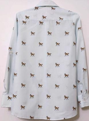 Imagem de Camisa Cavalinhos e Listras