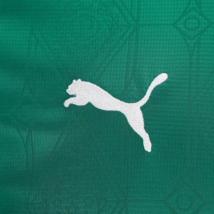 Imagem de Camisa Manga Longa Palmeiras I 25/26 Torcedor Puma Masculina