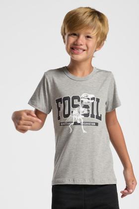 Imagem de Camiseta Infantil Menino Dinossauro 