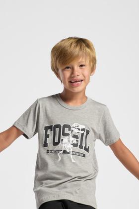 Imagem de Camiseta Infantil Menino Dinossauro 