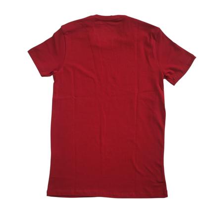 Imagem de Camiseta Malha Peruana Premium Masculino Adulto - Ref 1080 - Cores Sortidas