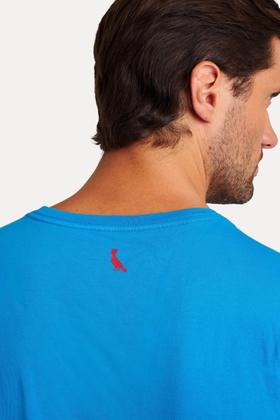 Imagem de Camiseta Pra Torcer Pica Pau Bordado Reserva