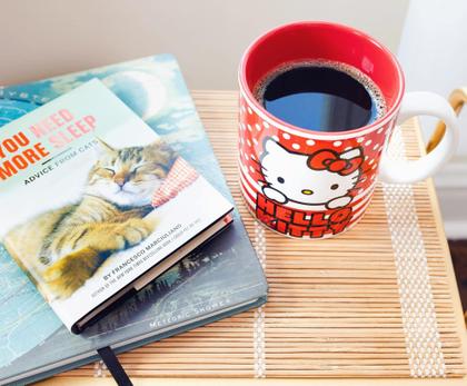 Imagem de Caneca Silver Buffalo Hello Kitty Dots and Stripes 590ml