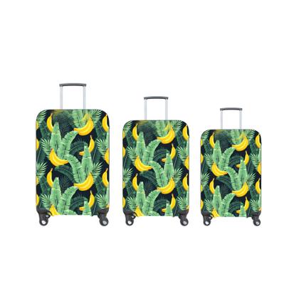 Imagem de Capa para Mala de Viagem Suplex Resistente Varias Estmapas