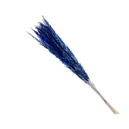 Imagem de Capim Champagne Azul Desidratado