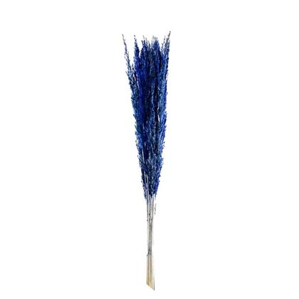 Imagem de Capim Champagne Azul Desidratado
