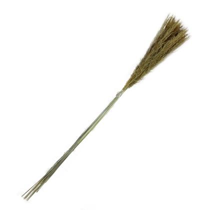Imagem de Capim Champagne Natural Desidratado