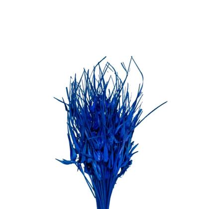 Imagem de Capim Estrela Azul Desidratado