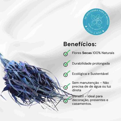 Imagem de Capim Estrela Roxo Desidratado