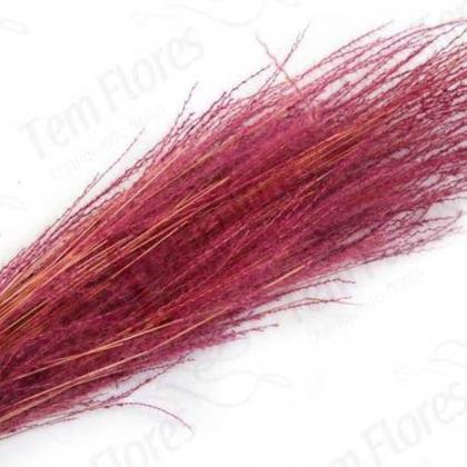 Imagem de Capim Pingo Neve Rosa p/Decoração