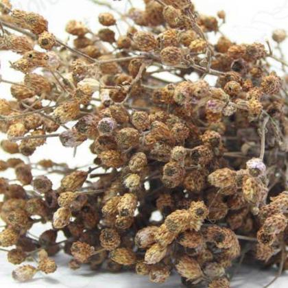 Imagem de Capim Ramo Natural p/ Decoração