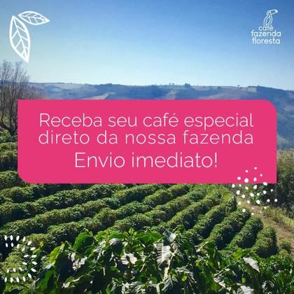 Cápsula de Café Fazenda Floresta Especial Reserva Embalagem com 10 cápsulas Imagem de Cápsula de Café Fazenda Floresta Especial Reserva Embalagem com 10 cápsulas