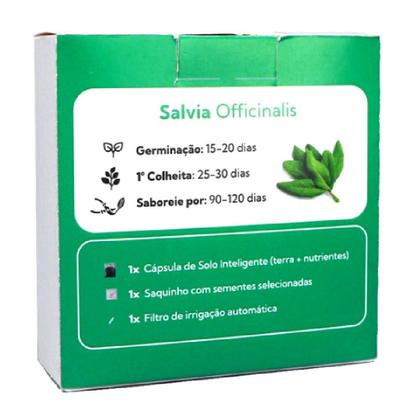 Imagem de Cápsula de Solo Inteligente de Sálvia Officinalis - Substrato, Nutrientes e Sementes. Refil para Horta Inteligente. - CAP-SAV-V01 - BROTA