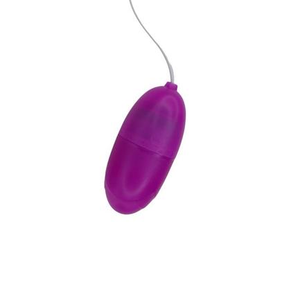 Imagem de Capsula Vibratória Oval com Controle Massageador Vibratório