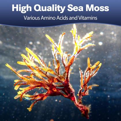 Imagem de Cápsulas Sea Moss Totaria - 240 Cápsulas (2 Frascos com 120 Cápsulas)