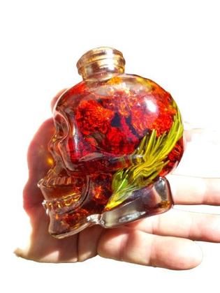 Imagem de Carolina reaper dessecada curtida no azeite com alecrim