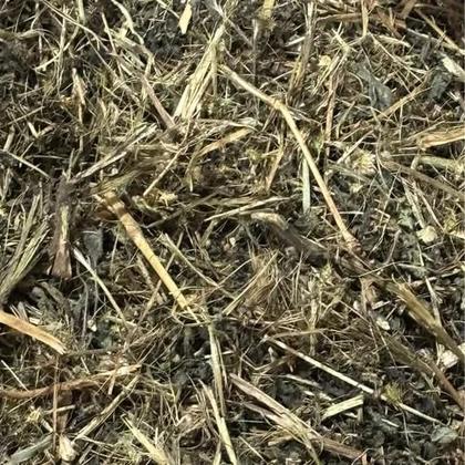 Imagem de Carrapicho 250gr (Erva Desidratada)