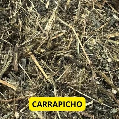 Imagem de Carrapicho 250gr (Erva Desidratada)