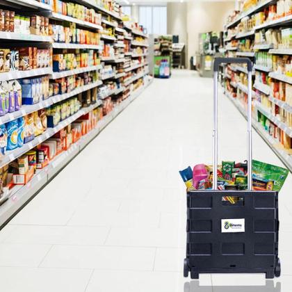 Imagem de Carrinho De Compras Dobrável Que Vira Maleta 25kg Ajax