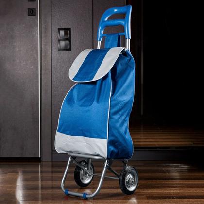 Imagem de Carrinho De Compras Feira Dobrável Com Rodas Suporta 30 Kg Duplo Compartimento