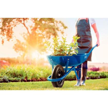Imagem de Carrinho De Mão Caçamba Rasa Metálica Azul 50 L, Braço Metálico E Pneu Com Câmara