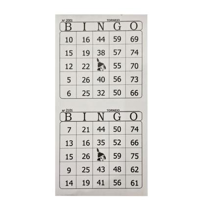 Imagem de Cartela de Bingo Tamoio 2x1 (duplo) 12 blocos com 100 folhas
