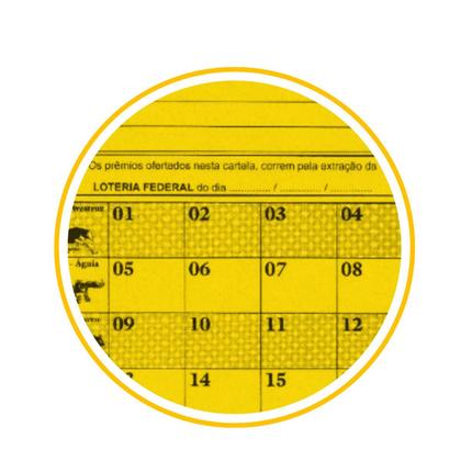 Imagem de Cartela de rifa 100 numeros com 50 unidades - tamoio