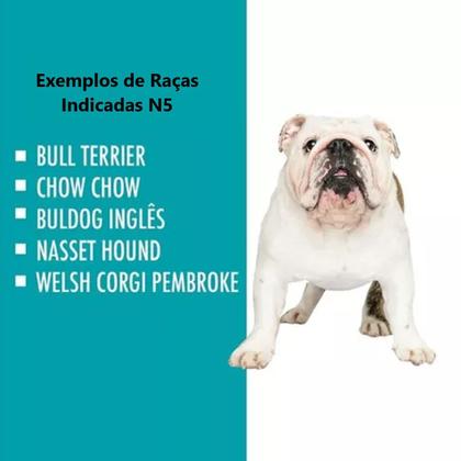 Imagem de Casa Casinha Cachorro Plástica Desmontável N5 Porte Grande